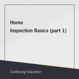 Home Inspection Basics (part 1)